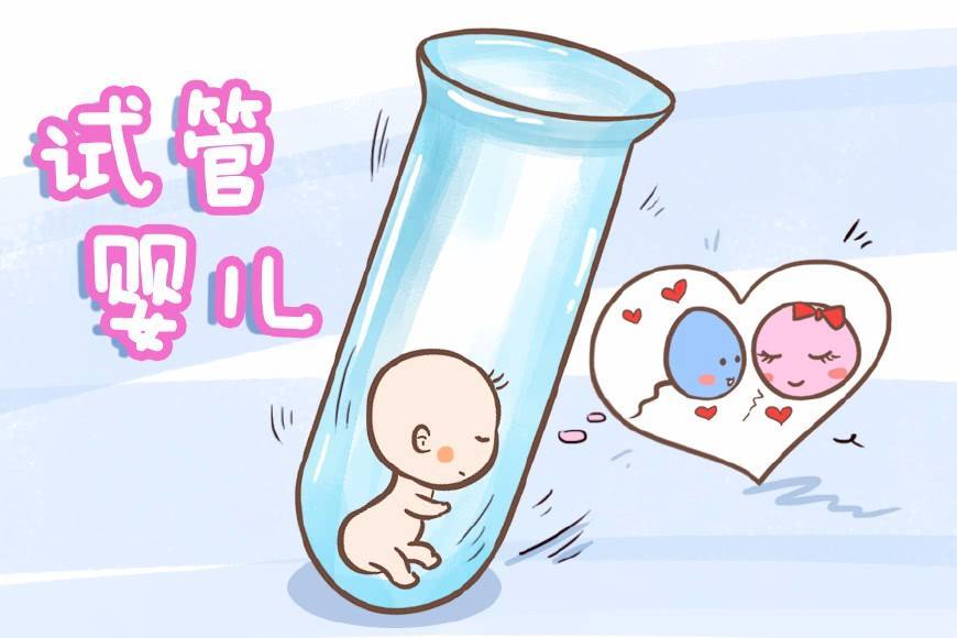 北京试管婴儿多少钱：做试管婴儿多吃蛋白质是个好主意(图1)
