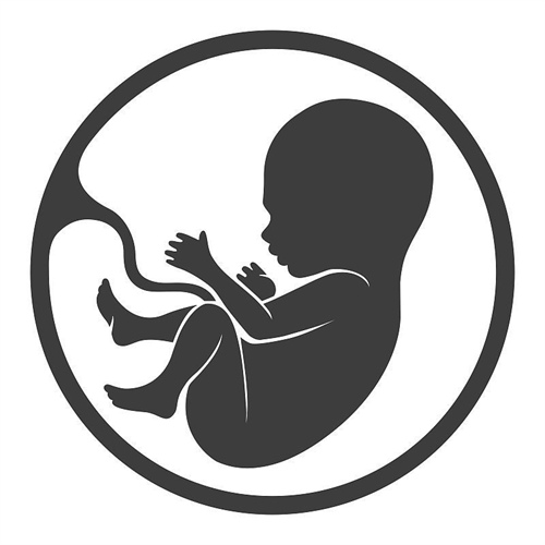 兰州供卵助孕机构-2022年亳州供卵试管婴儿助孕机构（附各省市供卵试管婴儿费用信息）。(图2)