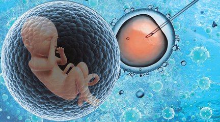 精子质量差能做试管婴儿吗？