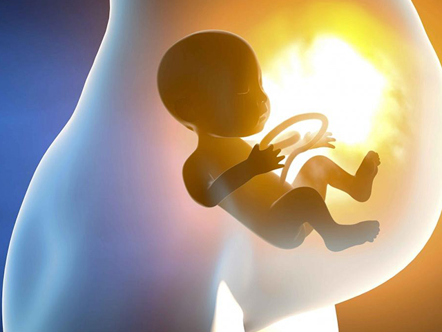广州助孕男孩网站-对于试管婴儿的儿子来说，是不是所有的胚胎都是优质的？(图1)