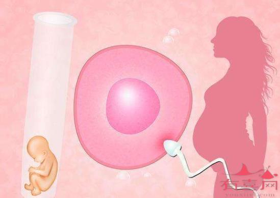 台湾试管助孕花费：试管婴儿通常一次就能成功吗？(图1)