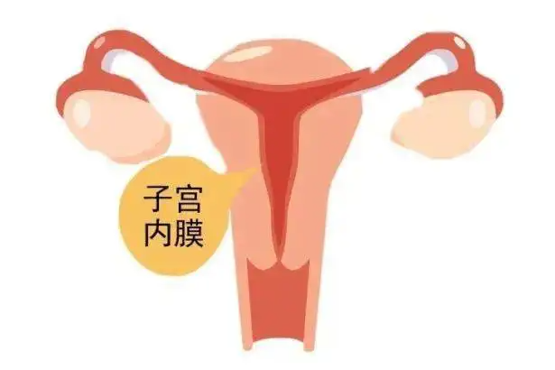 太原50岁供卵试管助孕：子宫内膜厚的试管婴儿的效果，不仅仅是移植的效果(图1)