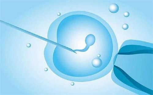 九江供卵助孕包成功-2023年合肥市各医院体外受精情况一览！有最全面的体外受精价格分类。(图1)
