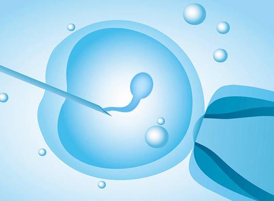 潍坊借卵：2023年对体外受精的成功率进行分析，并有可能提高成功率。(图1)