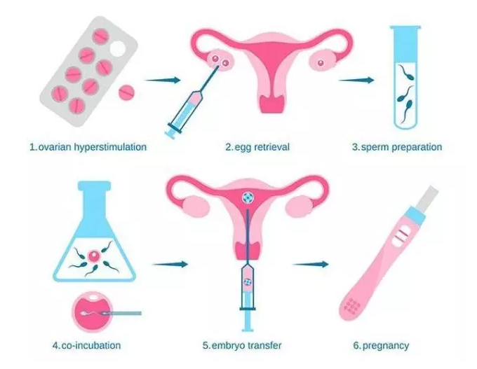 泰州试管助孕-为什么泰国试管婴儿的胚胎质量很好却失败了_专家回答你的问题。(图1)