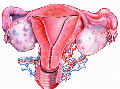德州42岁供卵助孕：骨盆在产后恢复中的作用大吗 产后恢复有什么好处？(图2)